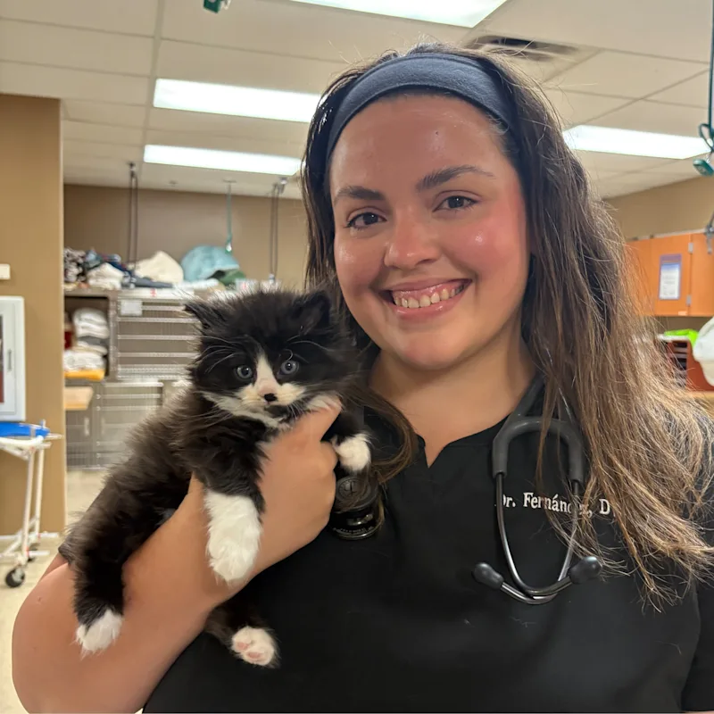 Dr. Gabriela Fernandez Dr. Gabriela Fernandez