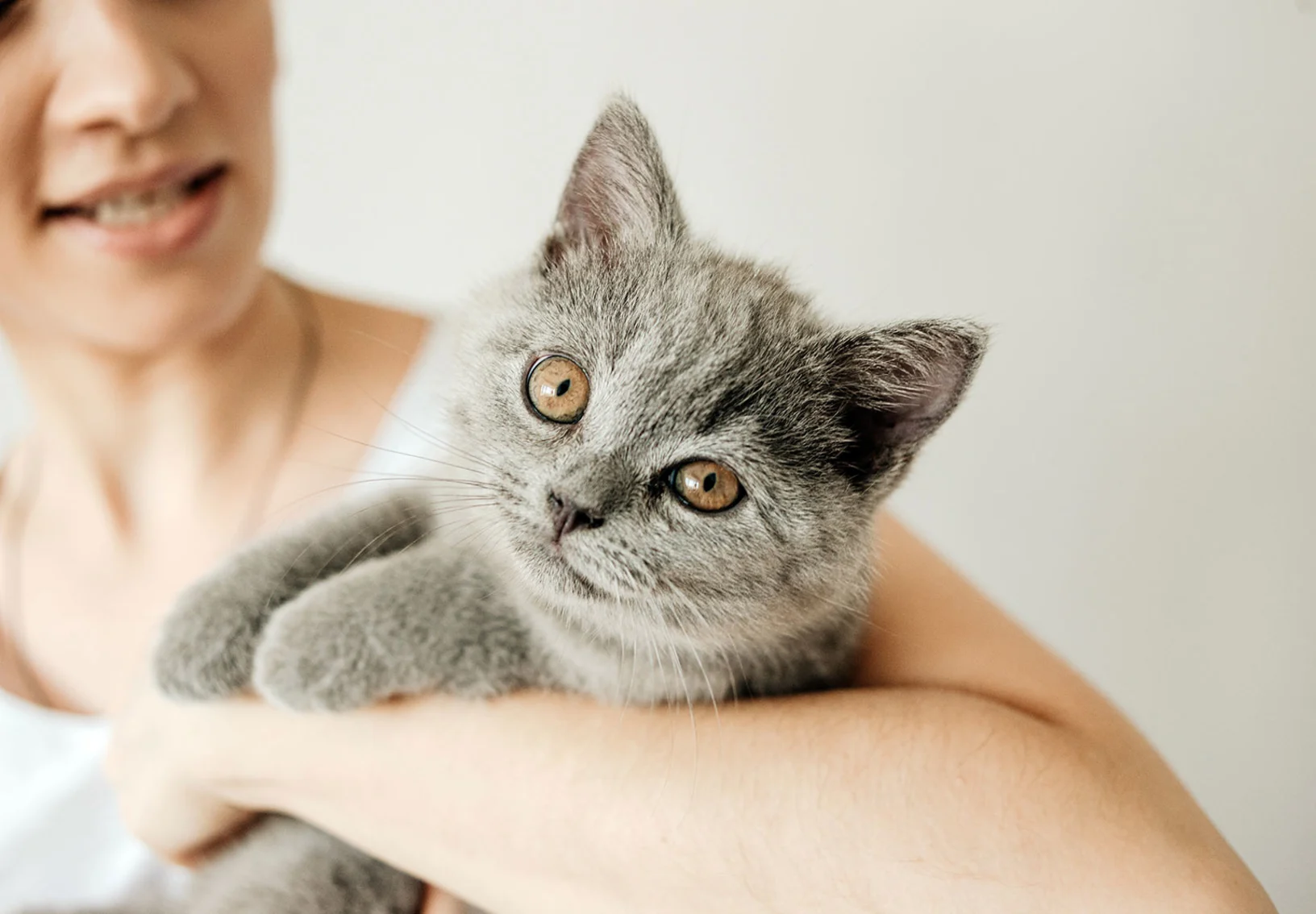 Woman indoors holding a gray cat in her arms