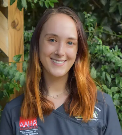 Quail Hollow Animal Hospital 0266 - Delainey Quail Hollow Animal Hospital 0266 - Delainey