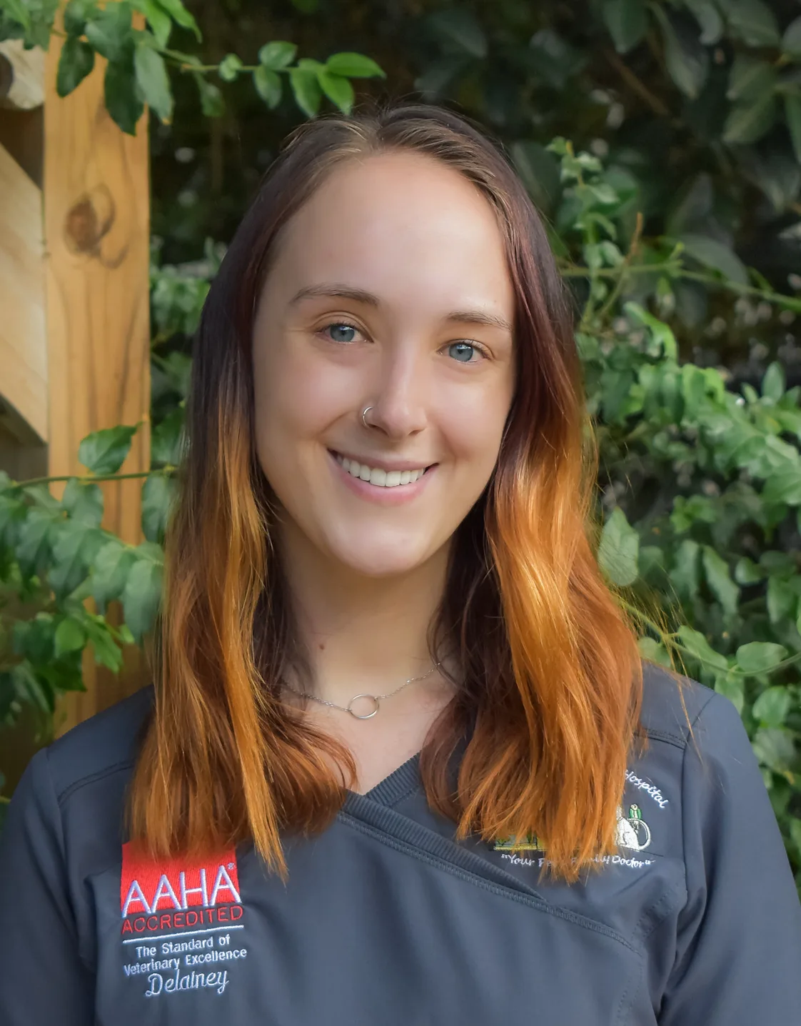 Quail Hollow Animal Hospital 0266 - Delainey Quail Hollow Animal Hospital 0266 - Delainey