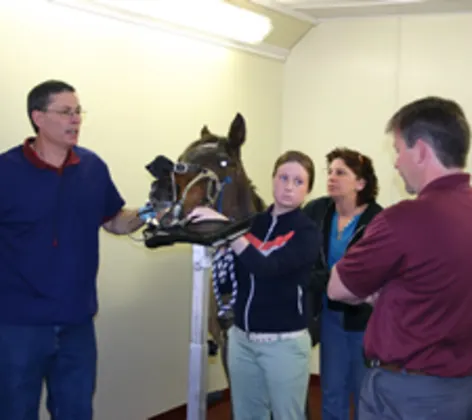 Vet demonstrating horse dentistry Vet demonstrating horse dentistry