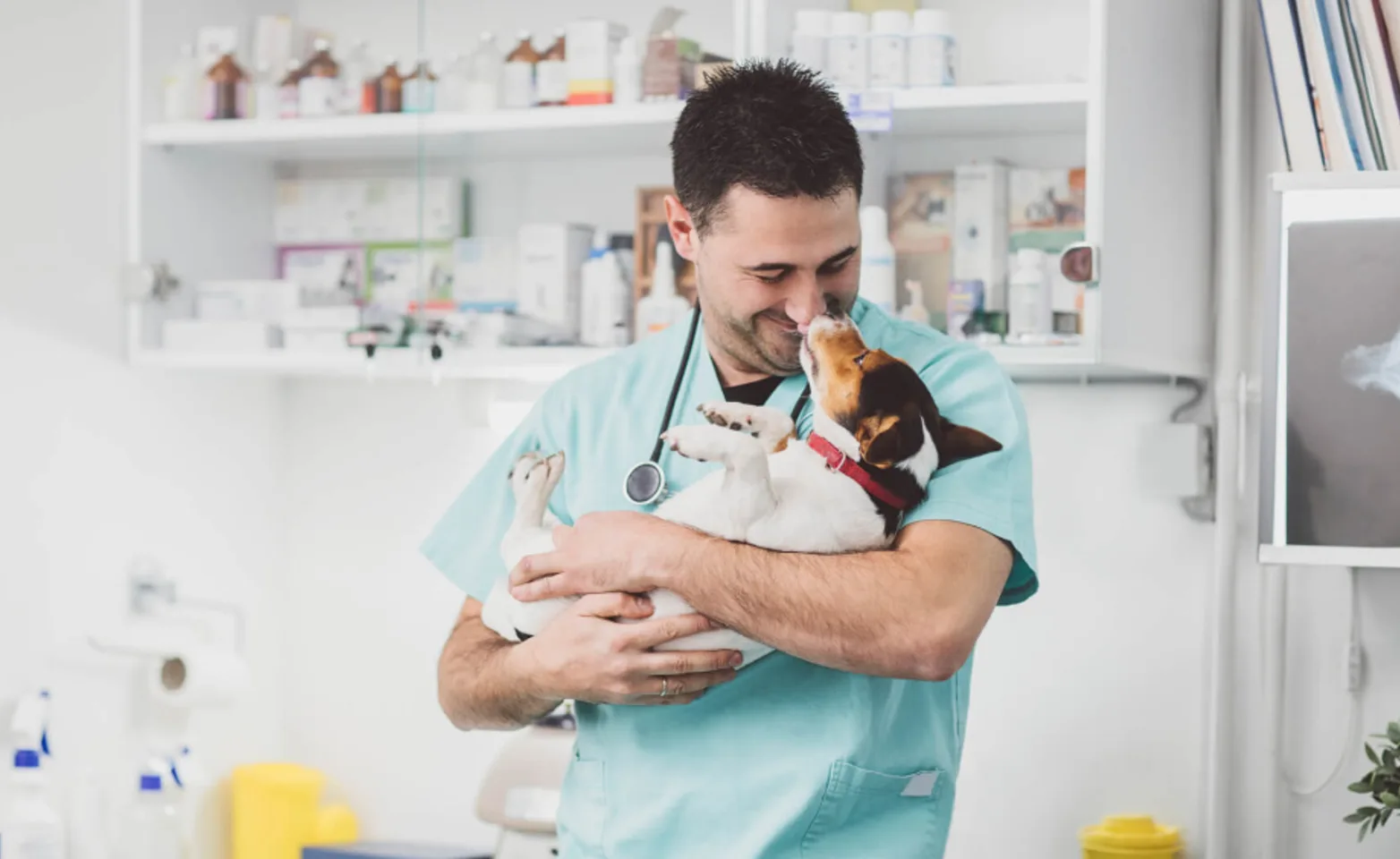 Veterinarian Holding a Small Dog & Touching Noses