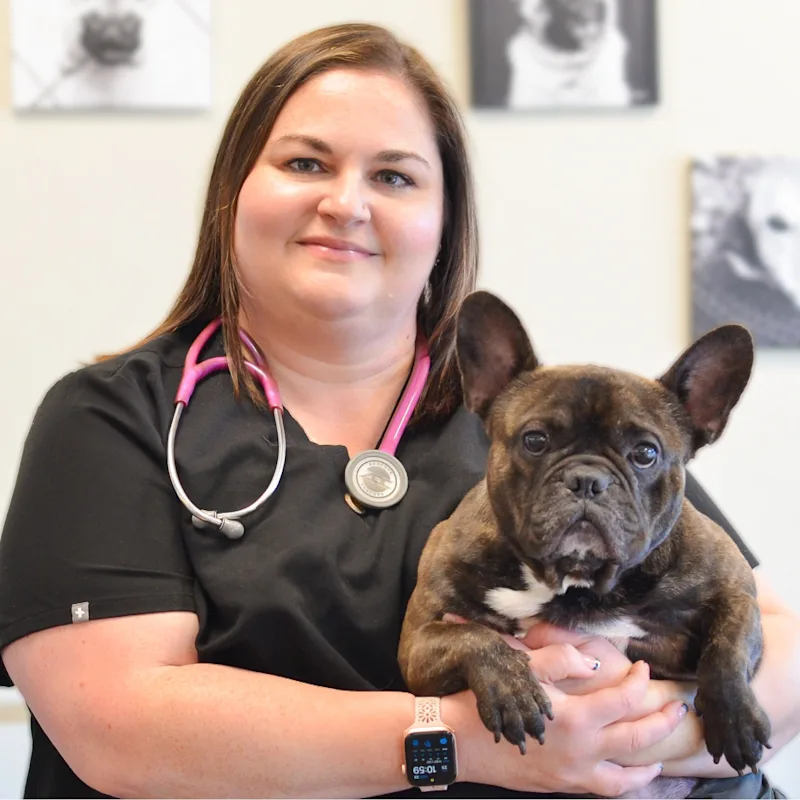 Northside Animal Hospital - Dr. Stacia Northside Animal Hospital - Dr. Stacia
