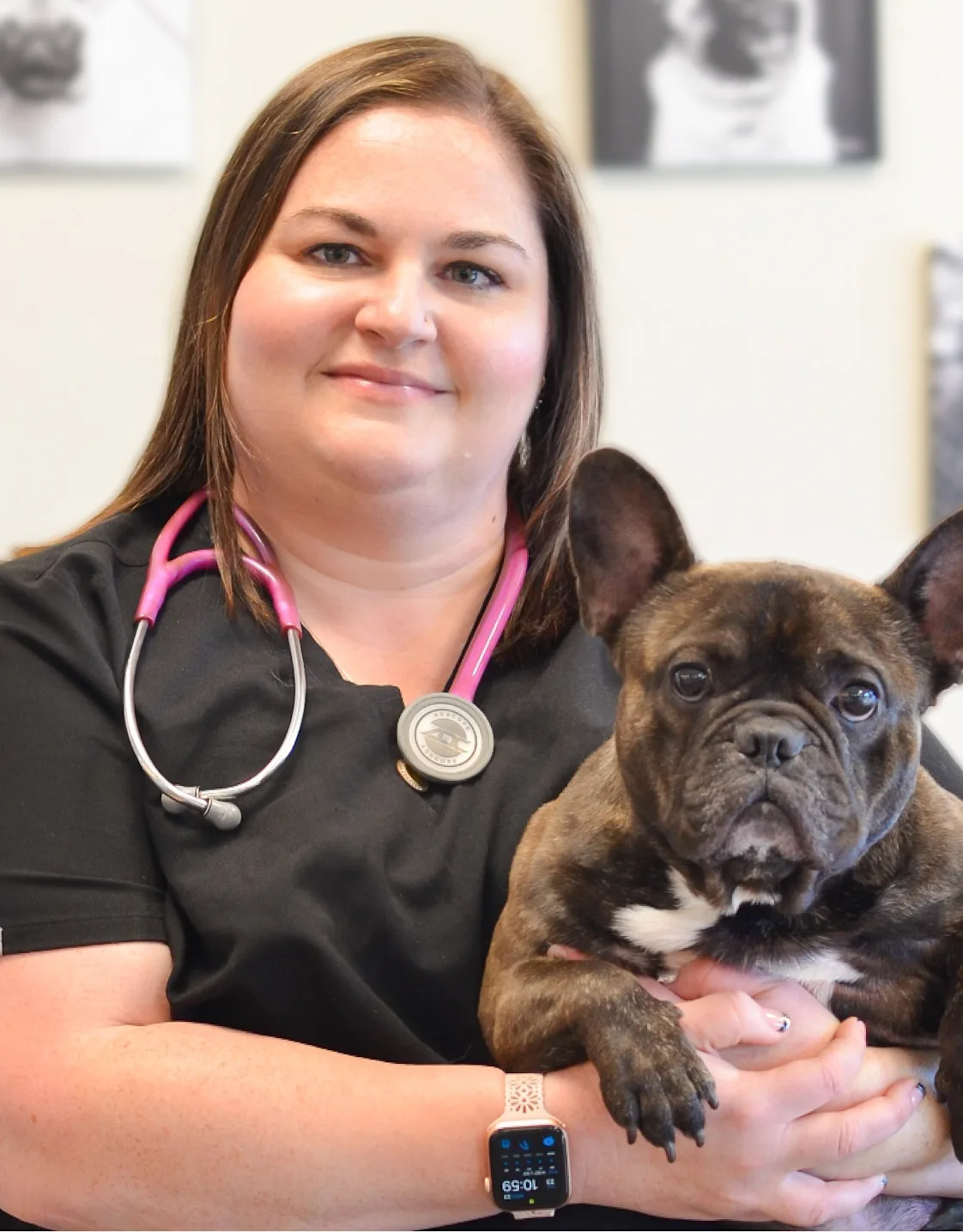 Northside Animal Hospital - Dr. Stacia Northside Animal Hospital - Dr. Stacia