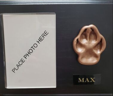 Bronze Paw Print