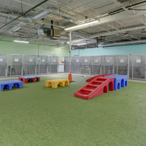 Owl Creek Veterinary Hospital Indoor Dog Playground