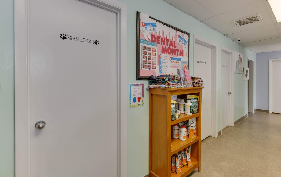 Owl Creek Veterinary Hospital's Exam rooms and hallway to get your animal checked up