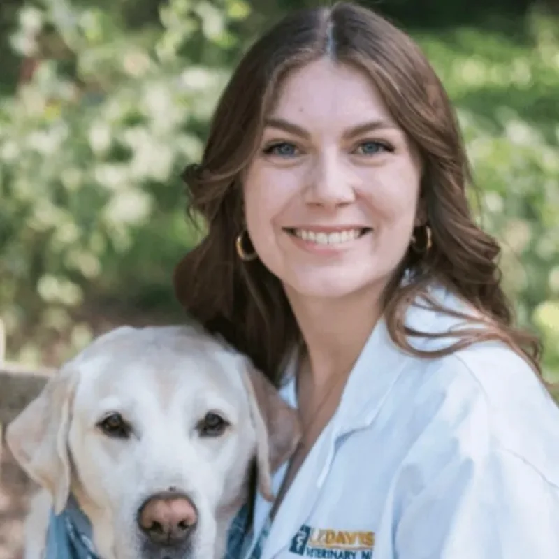 Alexandra Chapman Alexandra Chapman