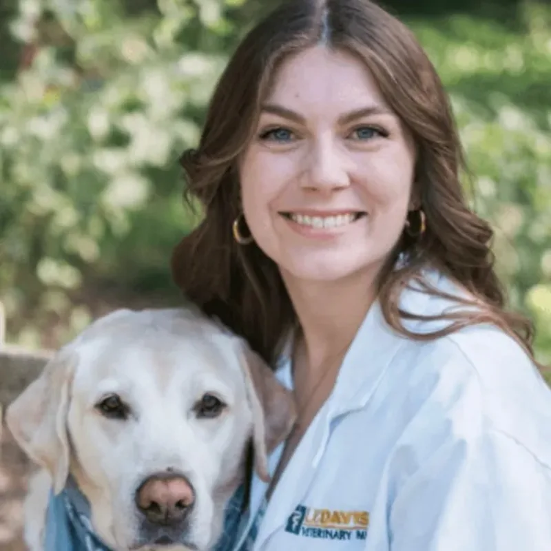 Alexandra Chapman Alexandra Chapman