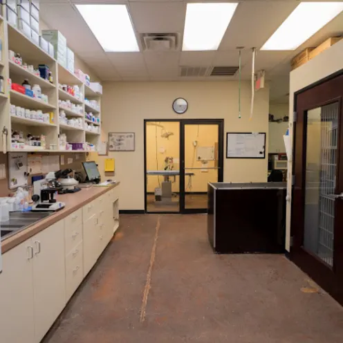 Work Area at Champion Wood Animal Hospital Work Area at Champion Wood Animal Hospital