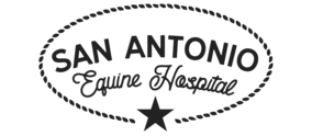 San Antonio Equine Logo San Antonio Equine Logo
