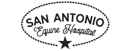 San Antonio Equine Logo San Antonio Equine Logo