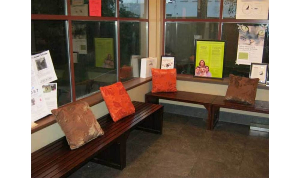 Table Mountain Veterinary Clinic Waiting Room