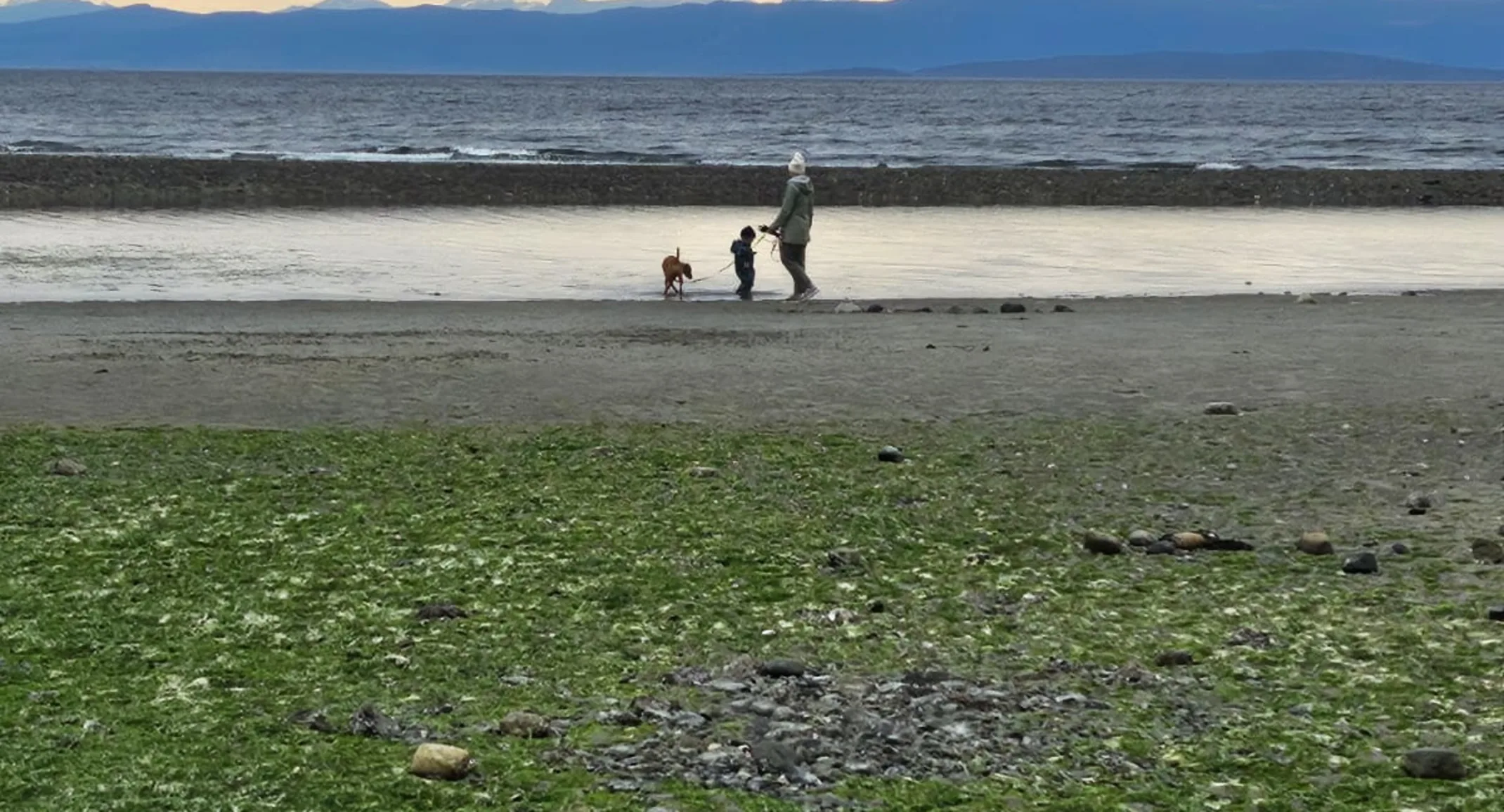 Veterinary Technician, Leah Veterinary Technician, Leah