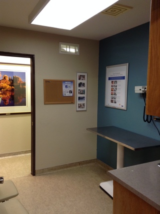 Verde Veterinary Hospital Examination Room