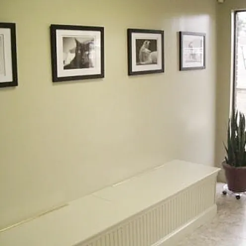 Highway 92 Animal Hospital's waiting room for cats with pictures and a plant