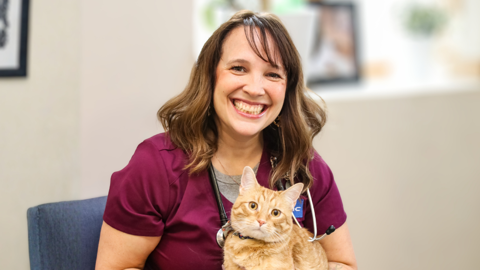 How NVA helped Dr. Hageman rise as a leader and champion for female vets