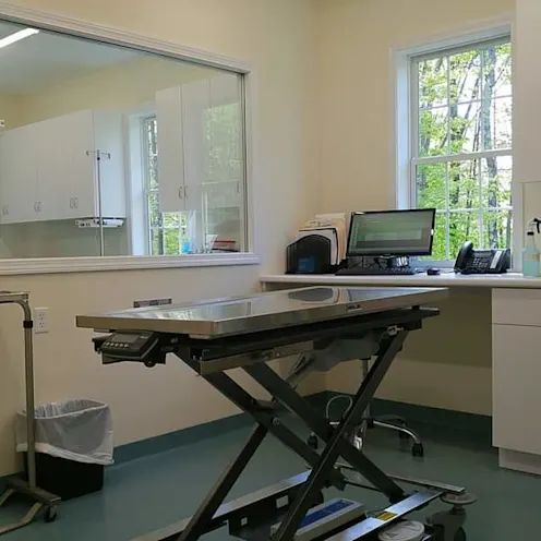 Exam table. Exam table.