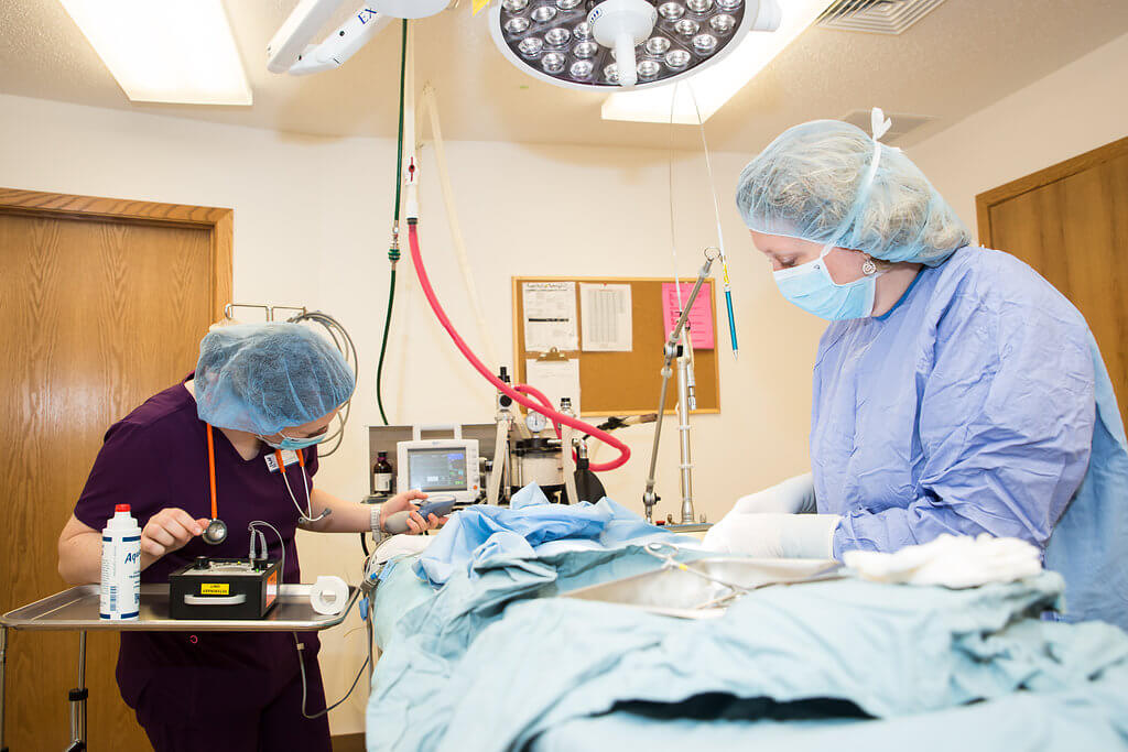 Staff during surgery