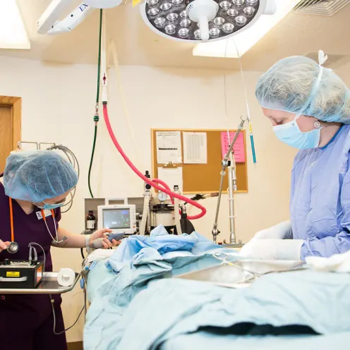 Staff during surgery