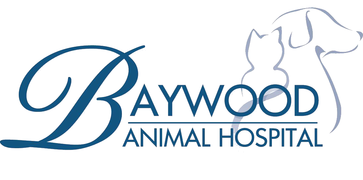 north county animal hospital ca