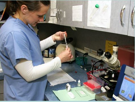 Valley Cottage Animal Hospital Diagnostics