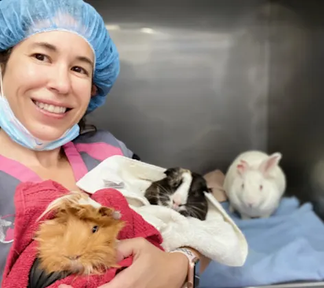 Dr. D holding exotic pets Dr. D holding exotic pets