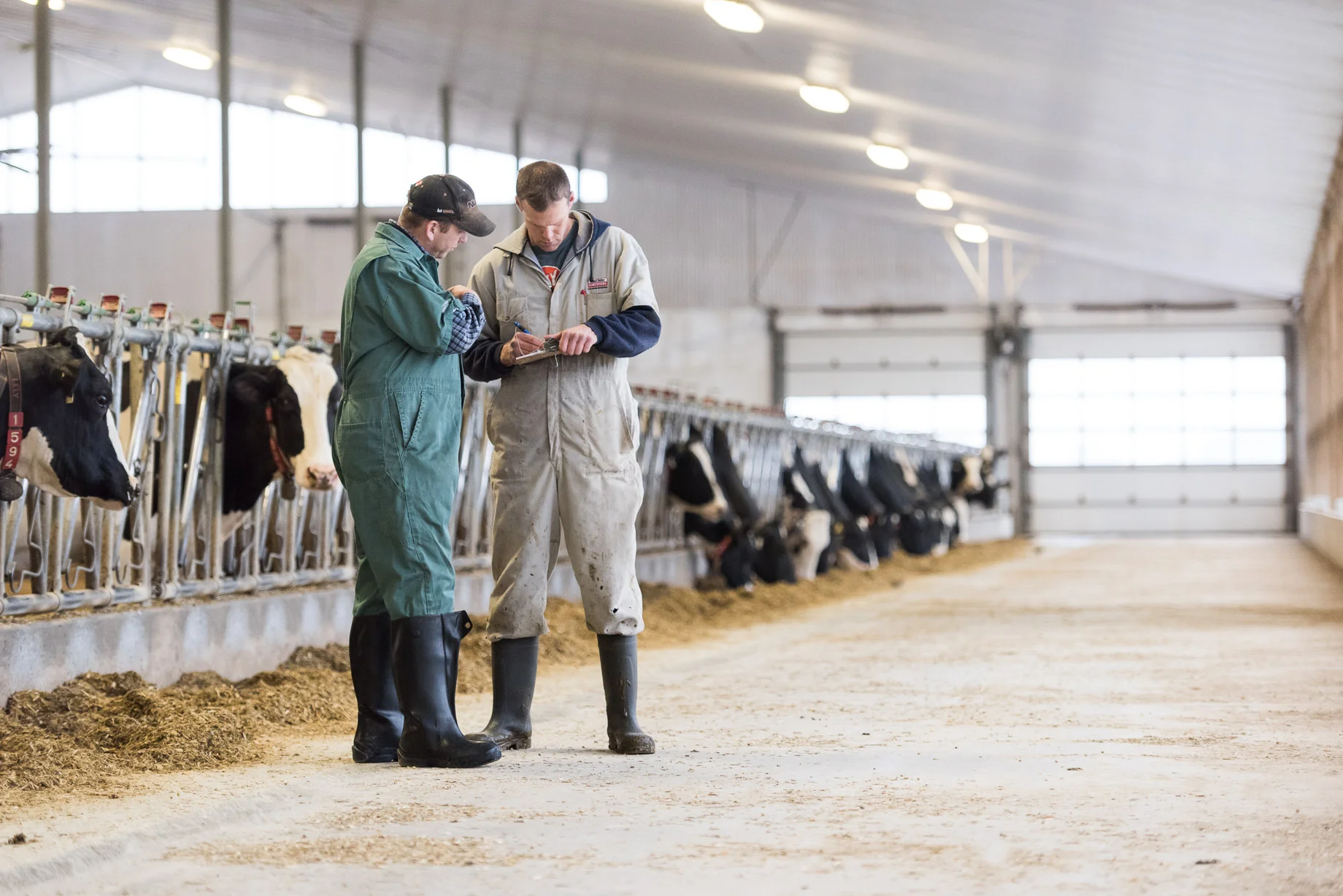Rideau employee in the farm