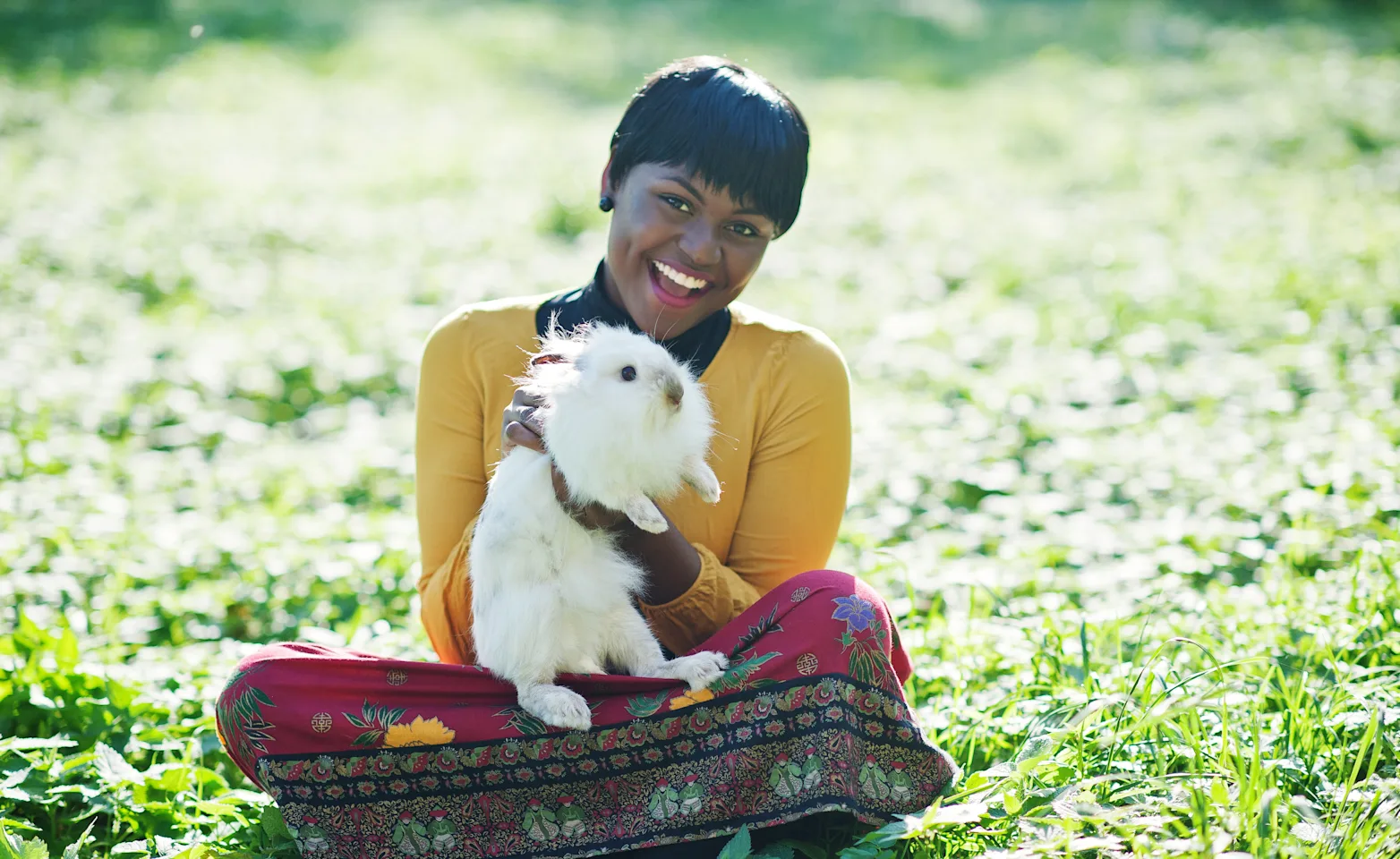 Woman sitting in grass holding a rabbit Woman sitting in grass holding a rabbit