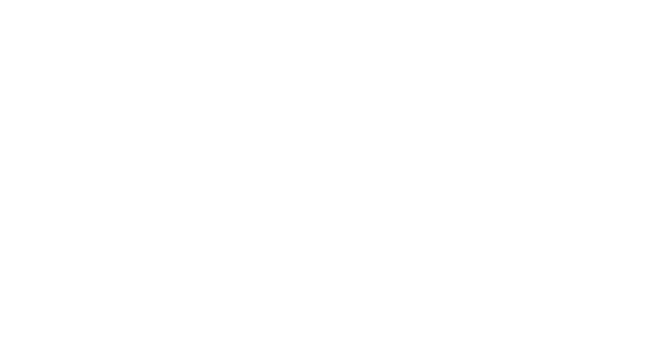 Stoughton Veterinary Service Logo