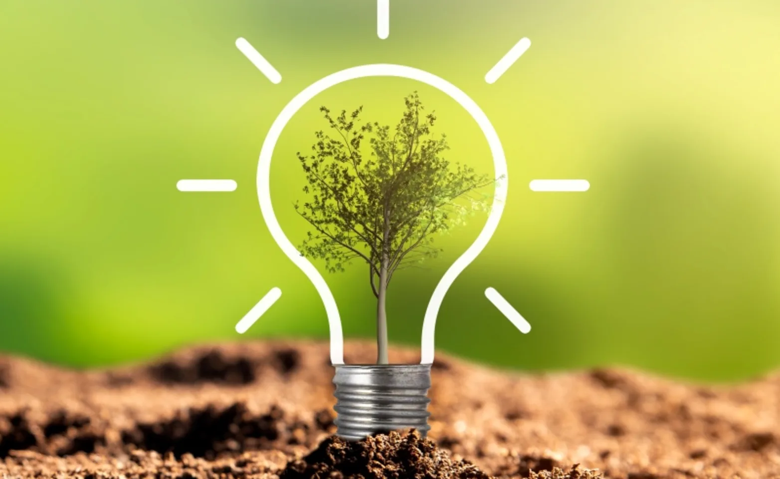 small tree with light bulb outline small tree with light bulb outline