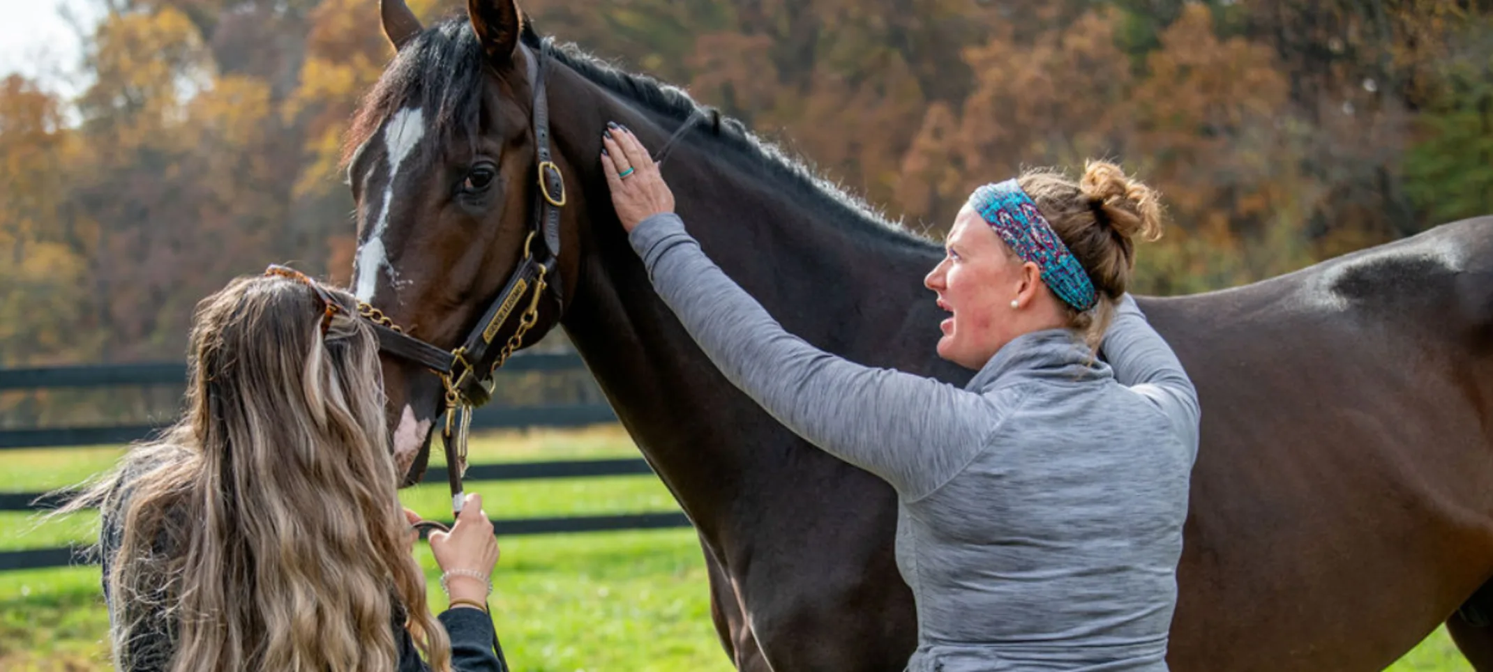 Two staff members caring for a horse's neck