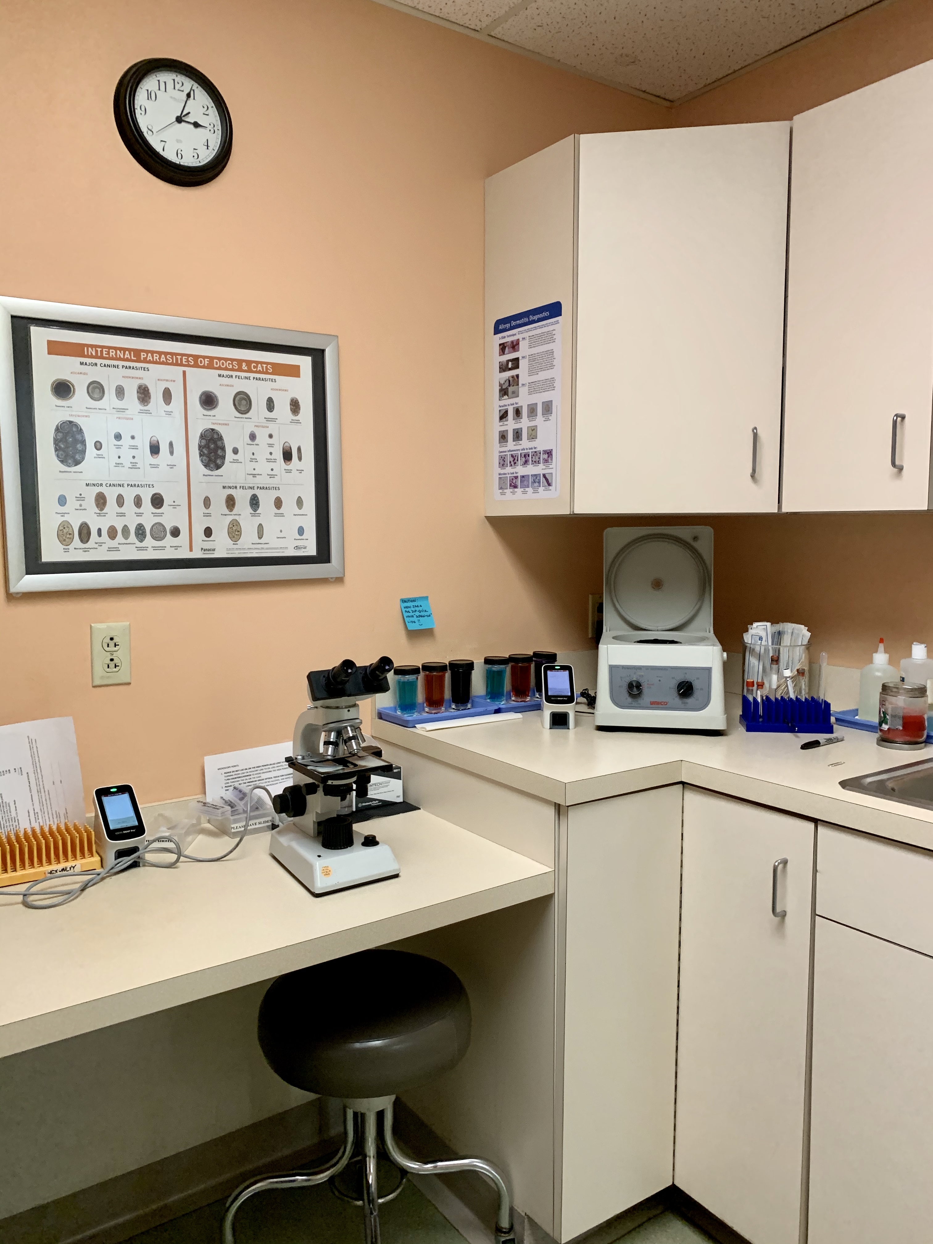 Lab Area at Camboro Veterinary Hospital 