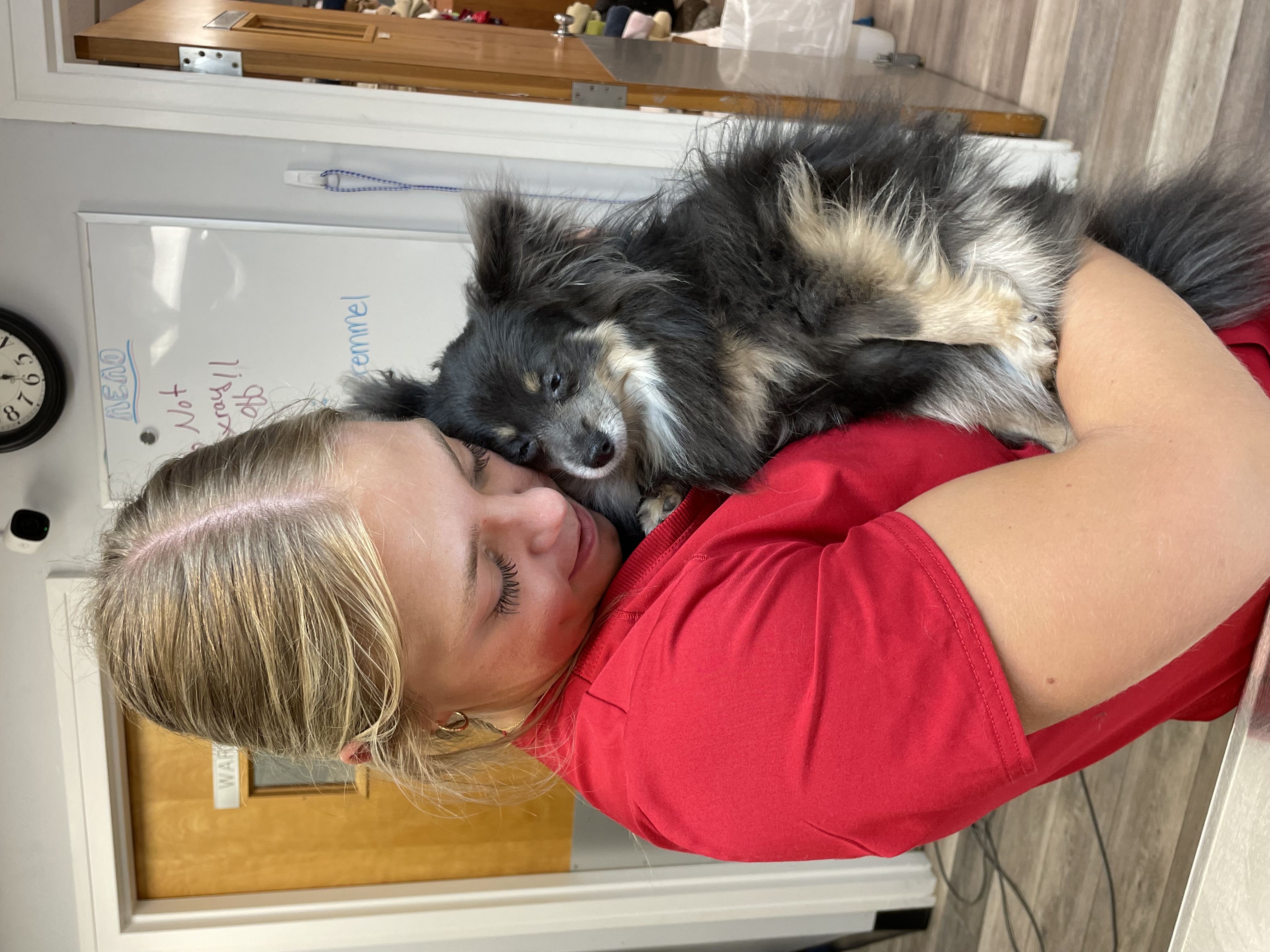 Small Dog Being Held at Ferry Farm Animal Clinic