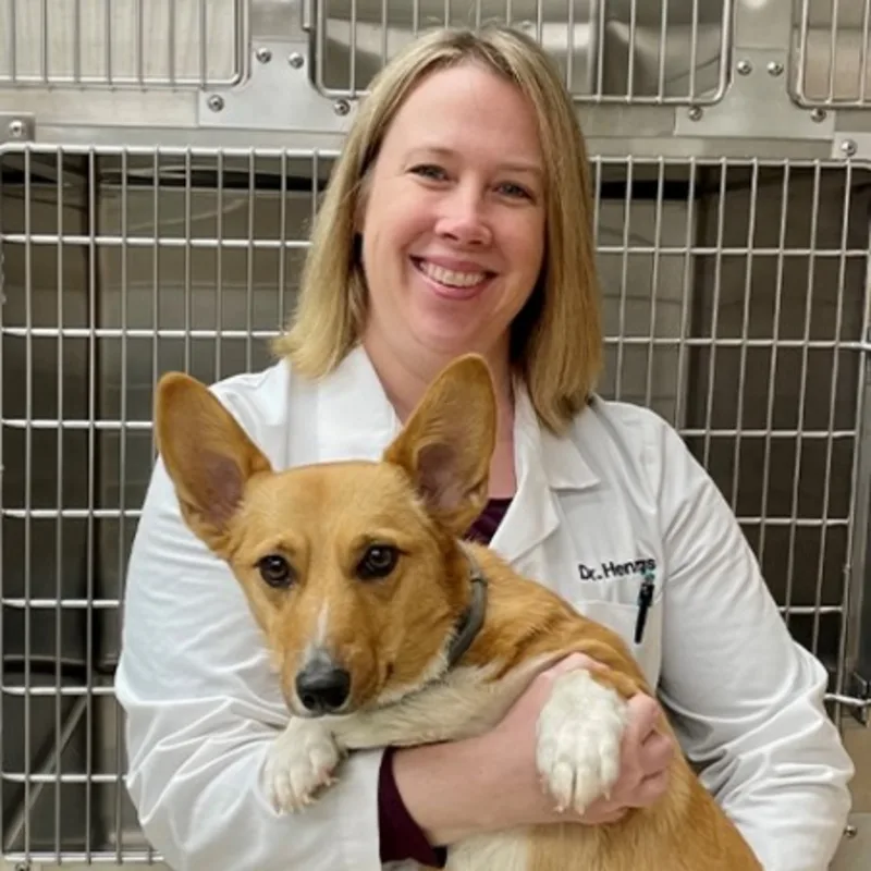Dr. Lisa Hennings Dr. Lisa Hennings