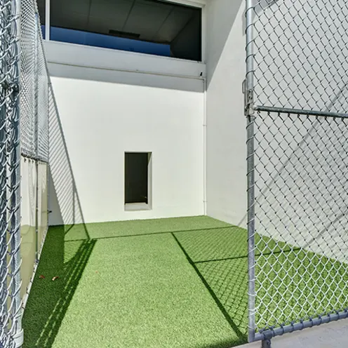 Lauderdale Pet Lodge Outdoor Room Lauderdale Pet Lodge Outdoor Room