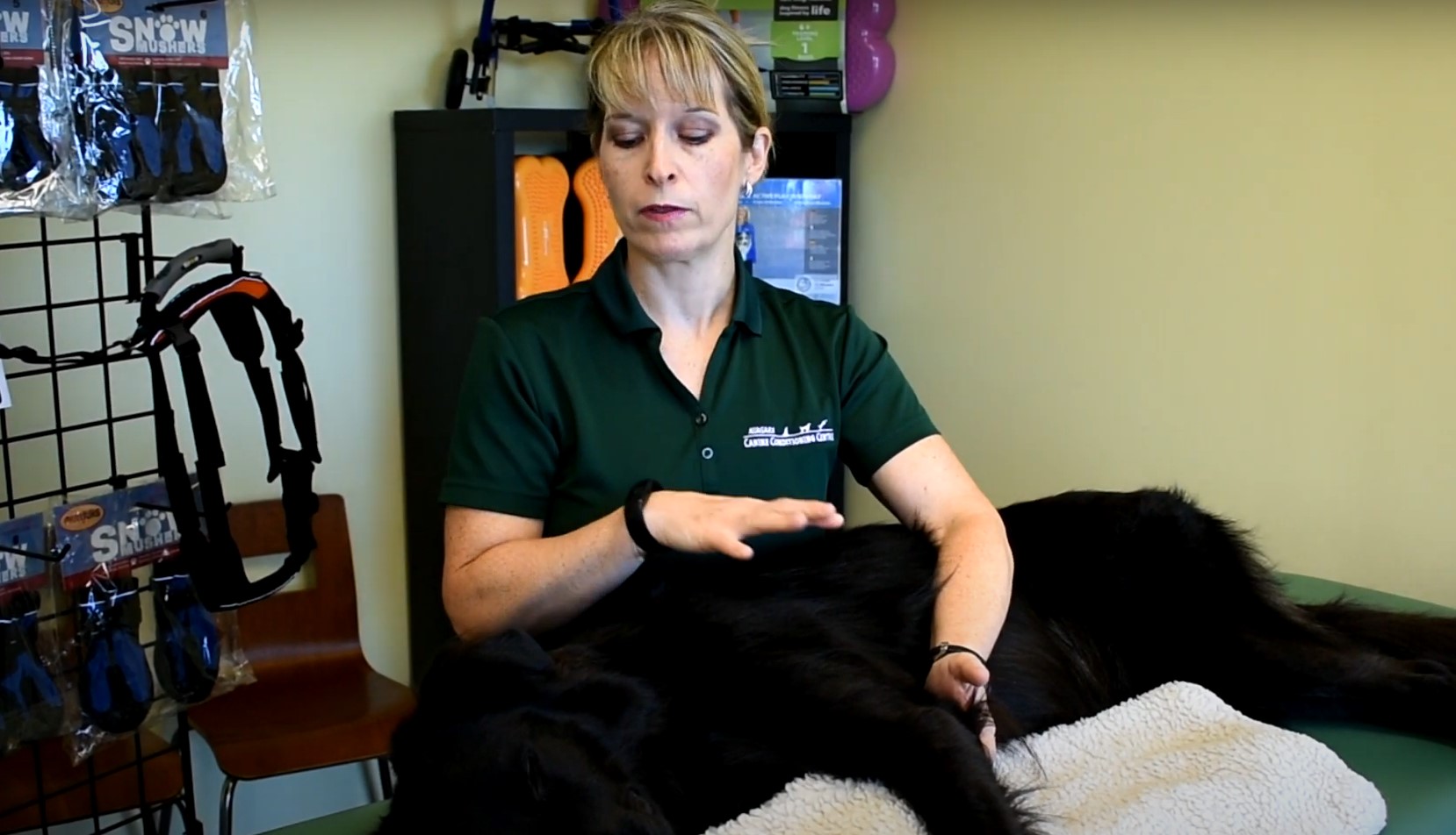 woman performing elbow PROM demo on dog 