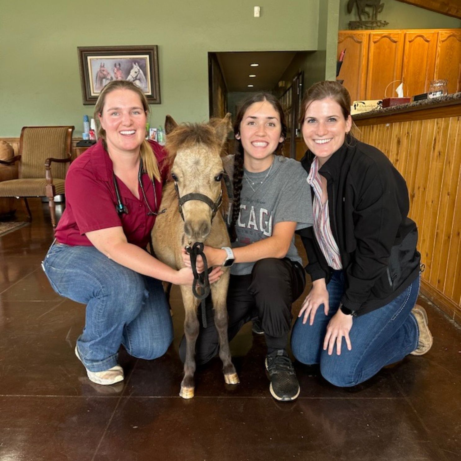 Group of three interns with a pony at Oakridge Equine Hospital