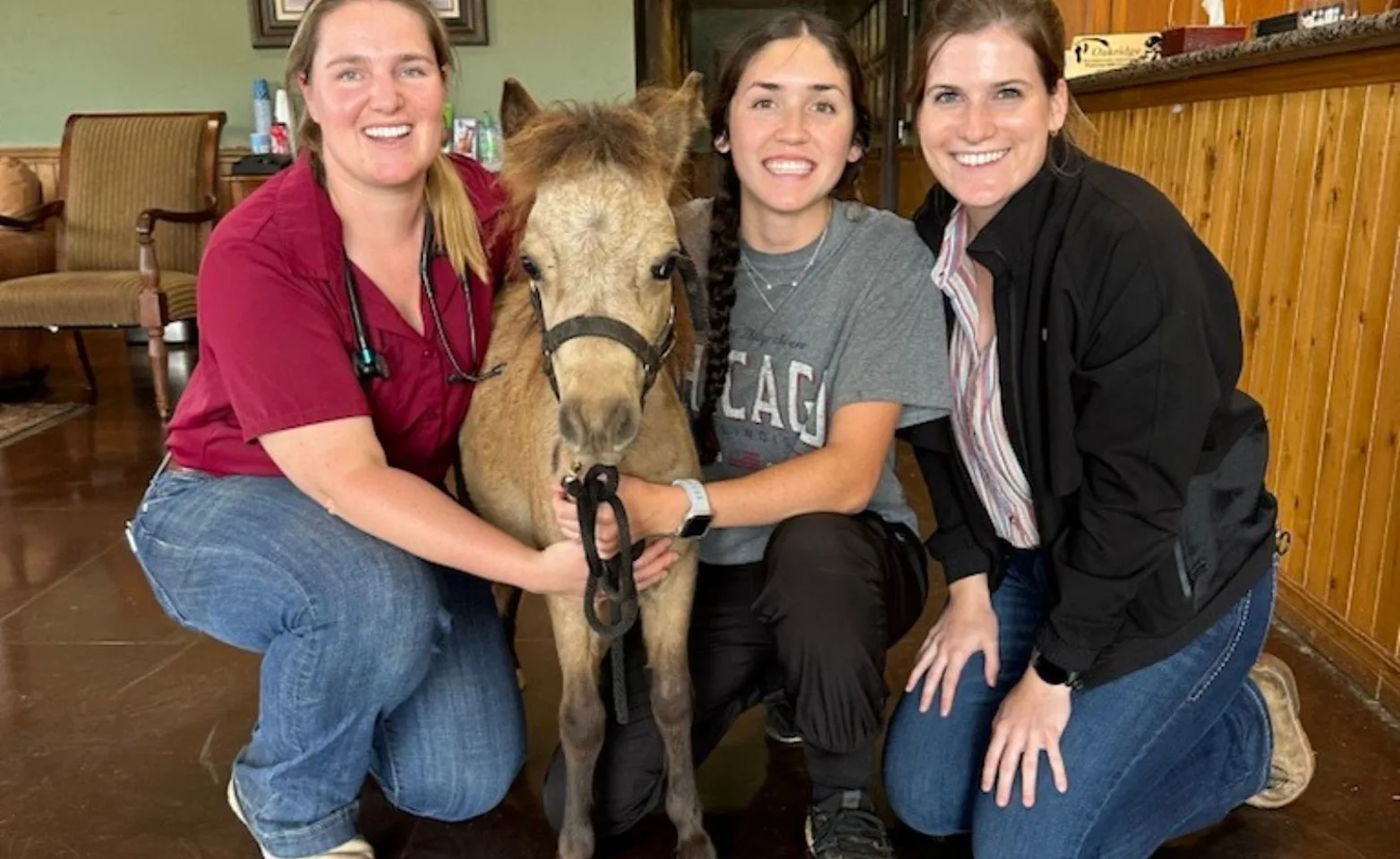 Group of three interns with a pony at Oakridge Equine Hospital Group of three interns with a pony at Oakridge Equine Hospital