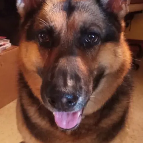 Blu Obrien Blu Obrien