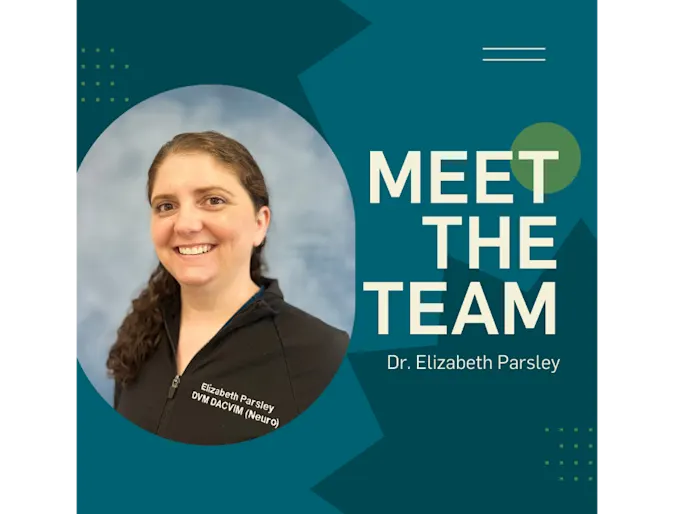 Meet the Doctor: Dr. Elizabeth Parsley, DVM, DACVIM. Meet the Doctor: Dr. Elizabeth Parsley, DVM, DACVIM.