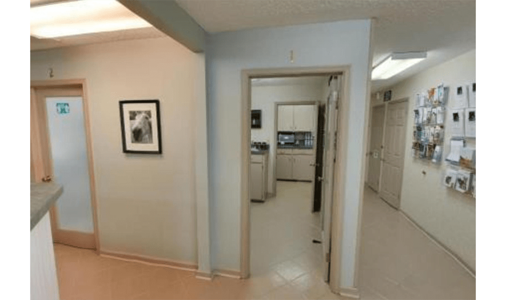 Princess Anne Veterinary Hospital Hallway
