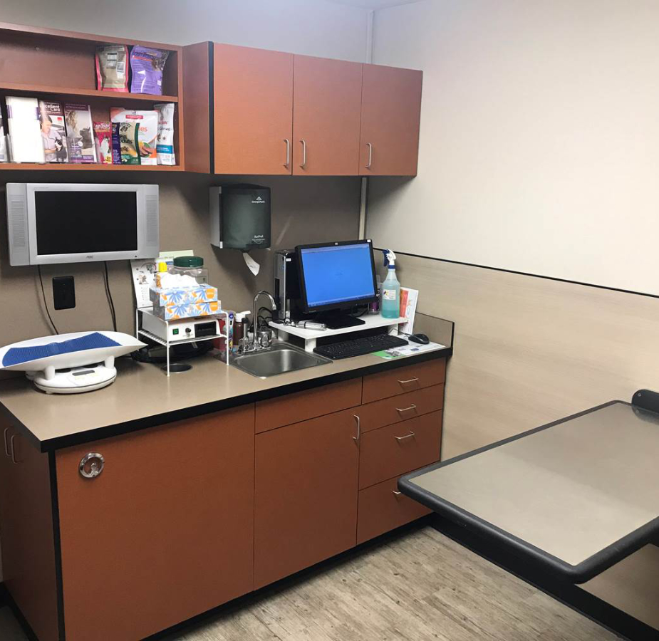 View of Check Up Room