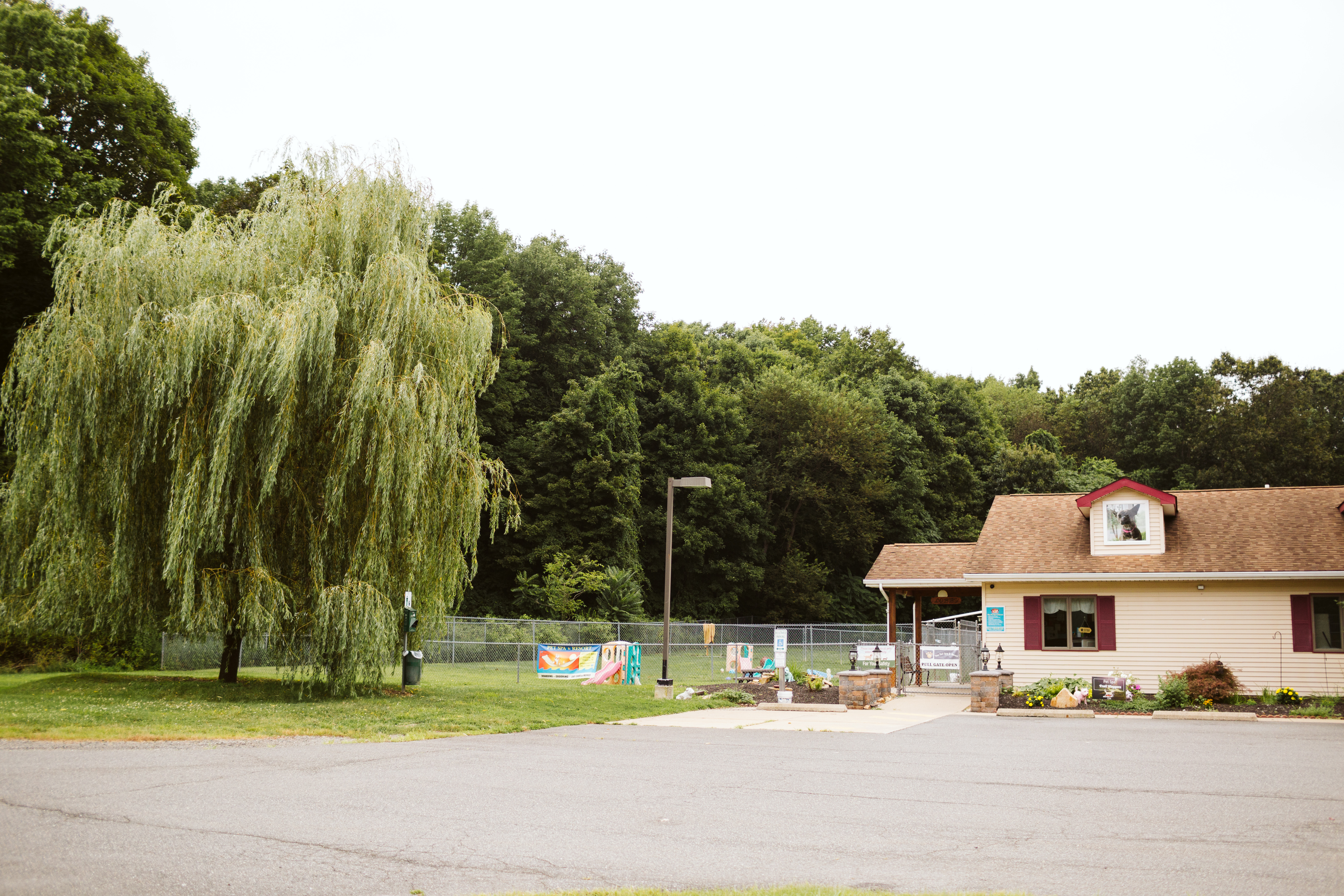 The Pet Spa & Resort Facility Exterior and showing their dog area with fence, trees and green grass