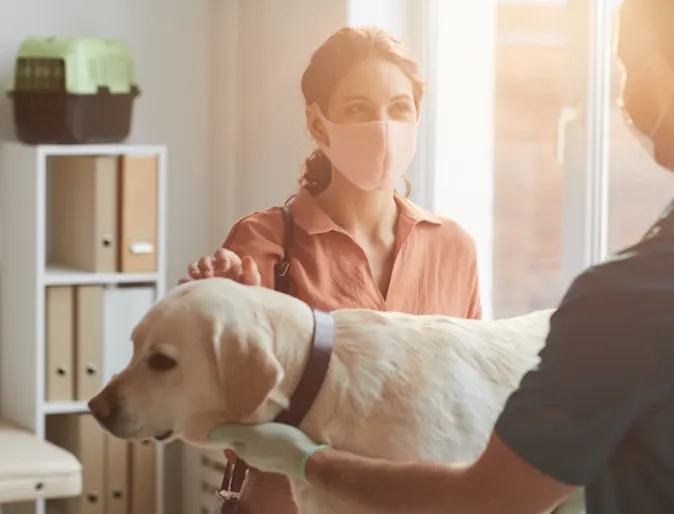 Veterinarian and client wearing masks and discussing dog's health