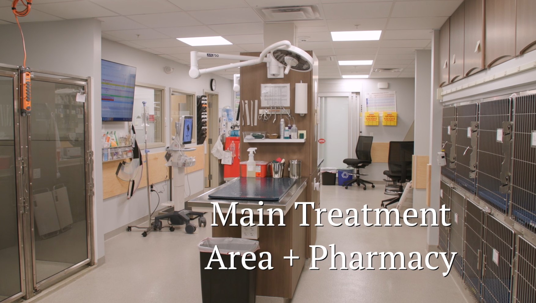 main treatment area and pharmacy