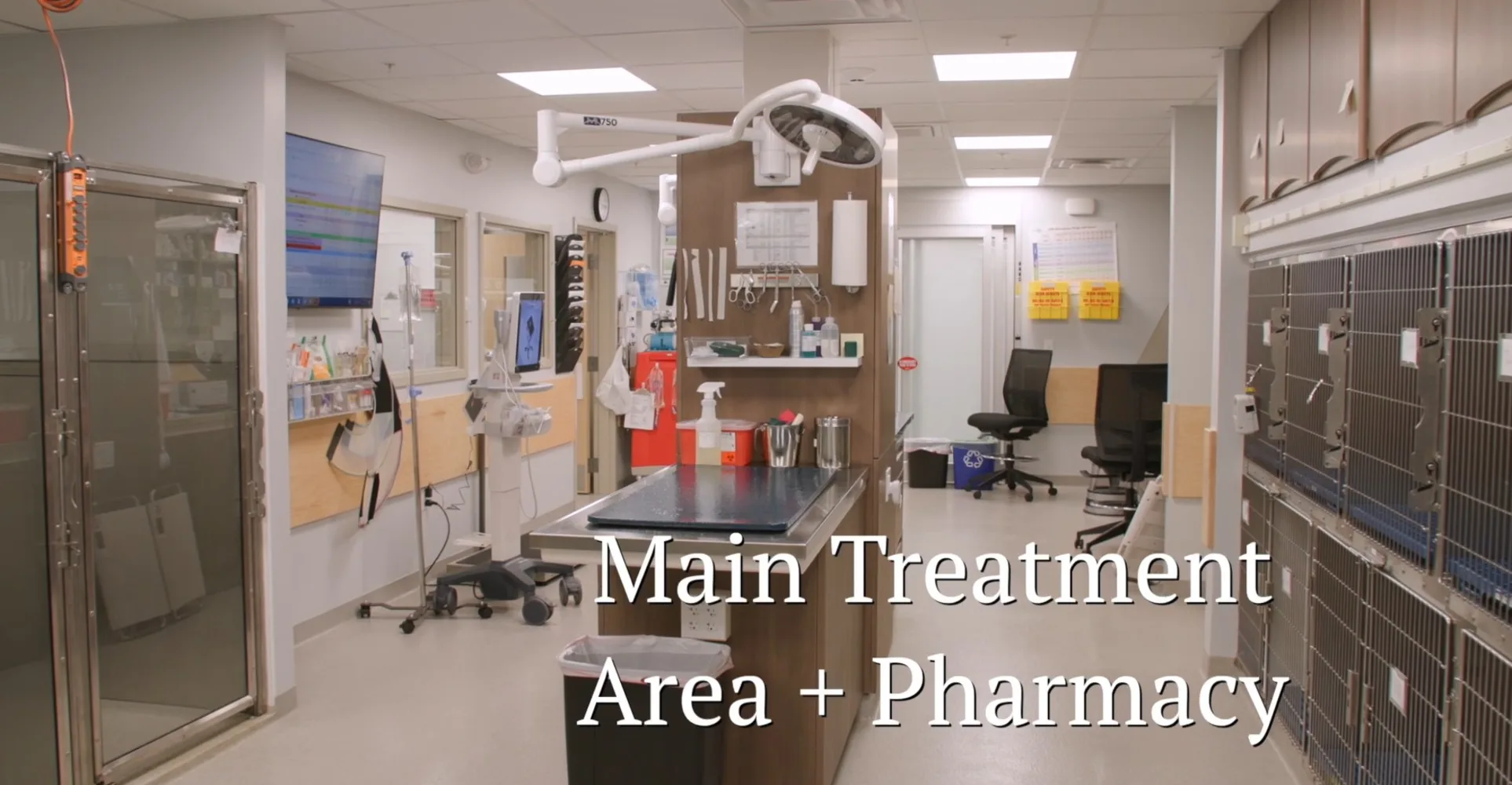 main treatment area and pharmacy