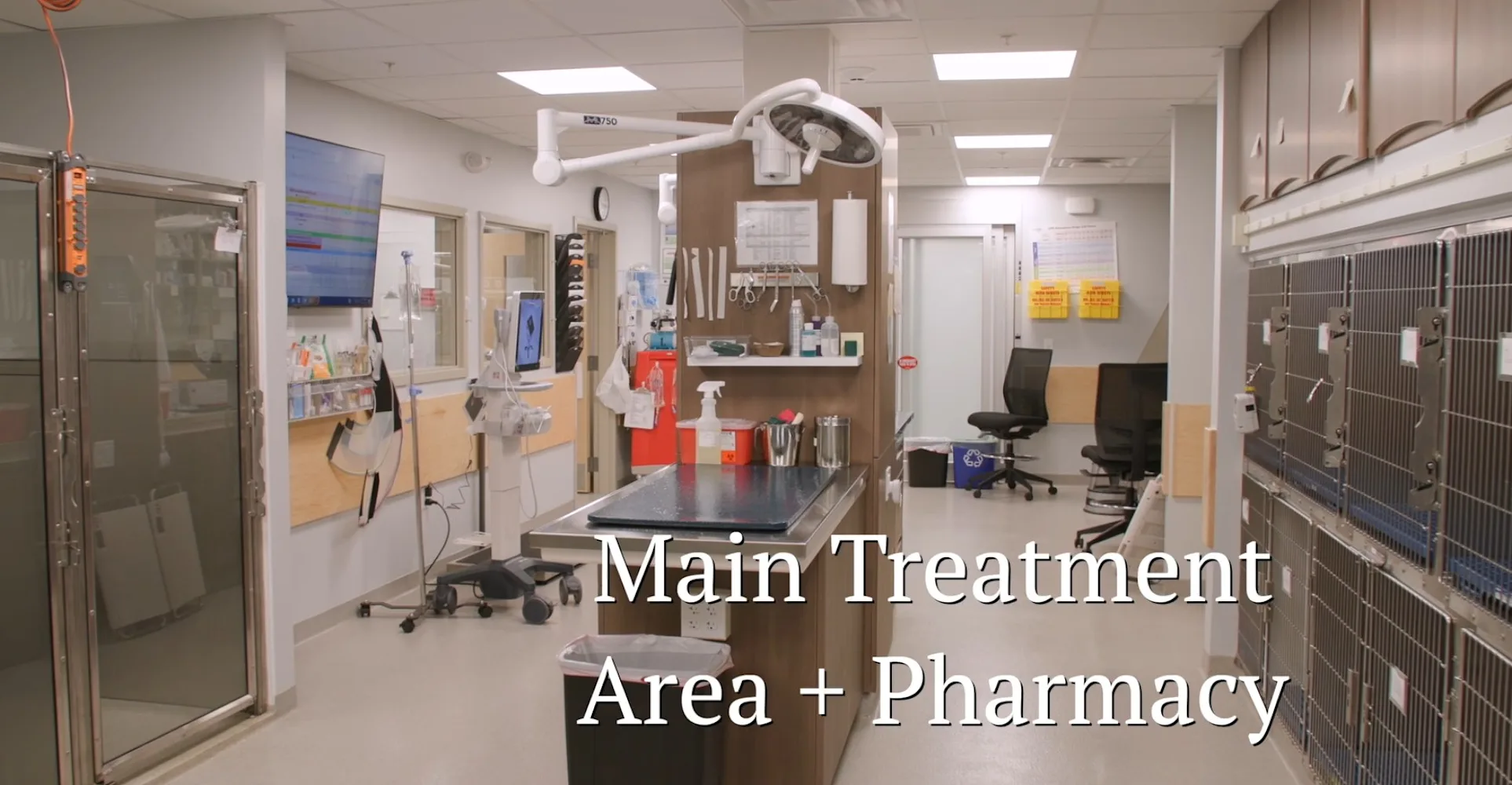 Animal Hospital in West Springfield, MA — Veterinary Emergency and Specialty Hospital clinic in West Bridgewater, MA — photo 3