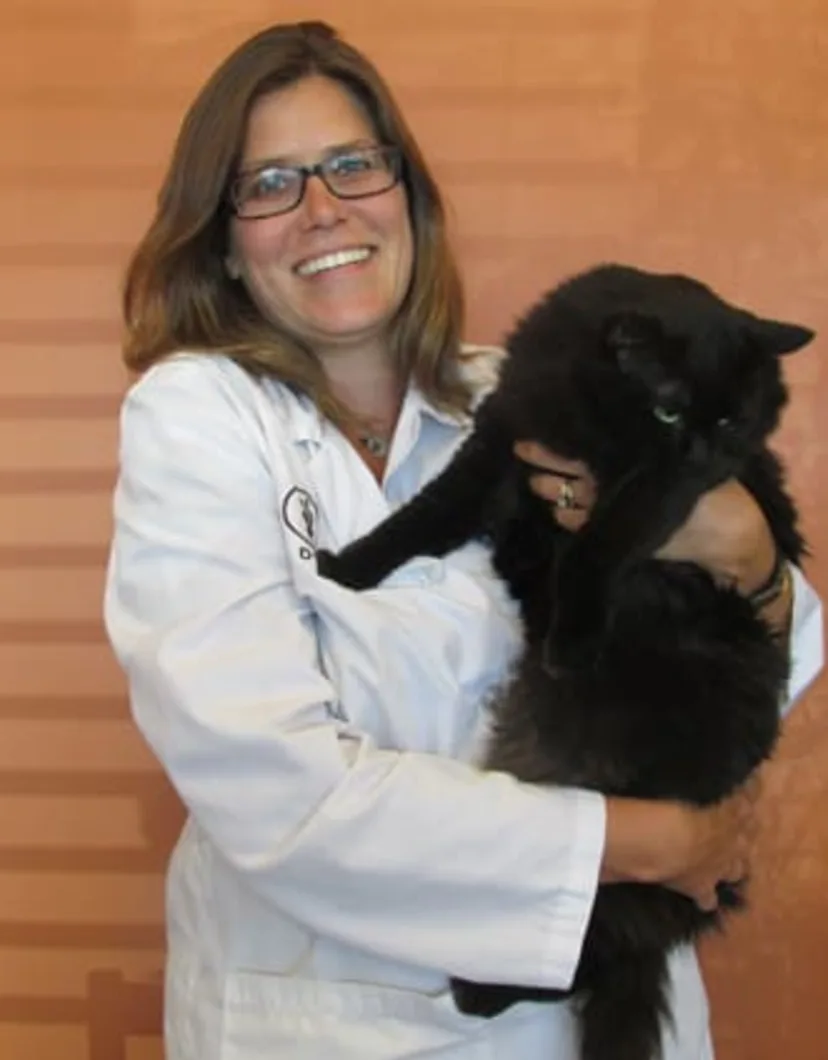 Dr. Lisa Fritsch holding big black cat at Lake Street Animal Hospital