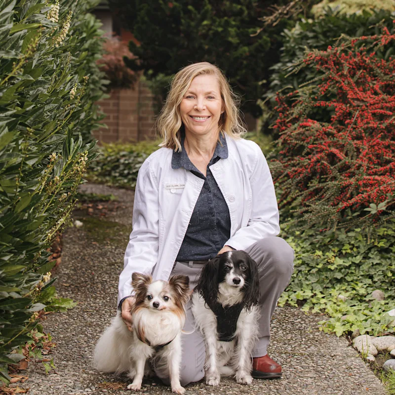 Frontier Village Veterinary Clinic Debbie Clark Frontier Village Veterinary Clinic Debbie Clark